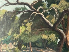 LARGE EUCALYPTUS TREE IN THE GARDEN OF THE CASTLE IN NICE – Impressionist Oil