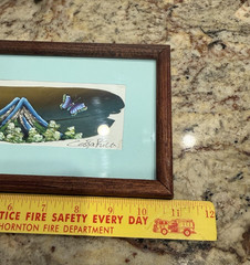 Vintage Costa Rica Hand Painted Feather Signed By Artist Framed