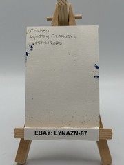 ACEO Original Painting Chicken 2.5×3.5 In Art Card Lynazn-67 Signed