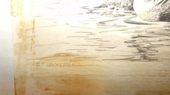 ORIGNAL VINTAGE SIGNED BARBARA BACKSTROM HOODED MERGANSER DUCKS ARTWORK PAINTING