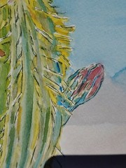 Vivid Desert Blooming Cactus Watercolor & Ink RAMfish Artist 8 1/4″ X 8 3/4″