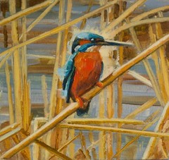 Bird Kingfisher Original small gift for bird lover 6×6 in Bird art hand painted
