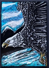 Bald Eagle Original ACEO Scratchboard Art Card Raptor
