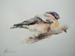Bullfinch, Birds, Watercolor artwork, Handmade, Original painting on paper