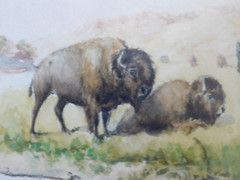 JULIUS J. RORPHURO (1861-1928, France-Calif.); ‚BUFFALOS GRAZING‘, W/C, Signed