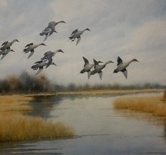 Original JOSEPH DAY KNAP ‚Pintails DUCKS Landing in MARSH‘ Watercolor PAINTING