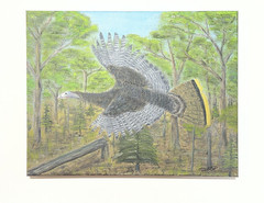 11”x14” Oil on Canvas Eastern Wild Turkey Fly Down Painting- OOAK Signed