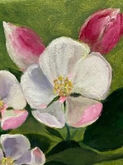 Apple Tree Blooming Spring Floral Original Painting Oil 20.5×20.5cm On eBay