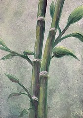 ACEO Original Bamboo 3 Oil Painting OOAK Art Card 2.5×3.5 J L Zuber