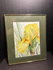 Vintage Watercolor Painting Yellow Iris Signed Framed Floral Art 19×16 #P