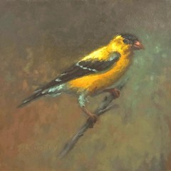 Goldfinch
