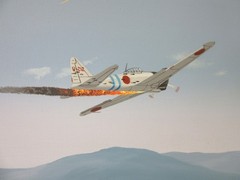 Raymond Waddey Painting F4F Wildcat in Combat Signed Ace Pilot Marion Carl 20×24