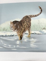Tiger Prowling The Lands Painting On Canvas 11.5×13.75 8×10