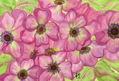 PAINTING WATERCOLOR 11X14 AND MAT 16X20 FLOWERS ANEMONE PINK GREEN ORIGINAL ART