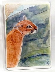 Miniature Fine Art Study- Watercolor on Paper – Signed Original