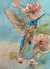 Hummingbird original watercolor painting signed 9 x 12 inches