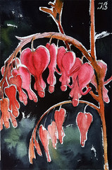 Art Gay Erotic Watercolor „Dickentra spectaballs „( flower, humor )11,6-7,9 in.