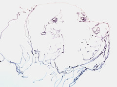 LOVELESS – „GOLDEN GAZE“ 11 X 15 drawing on Gallery Paper