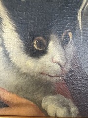 Italian School Oil Painting Female & Cat ,Flemish Ebonized Style Frame