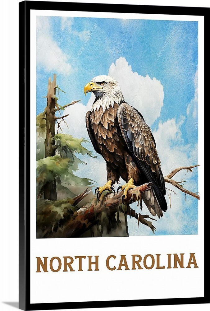 North Carolina Bald Eagle Retro Travel Poster, Canvas Or Framed 1930s Vintage