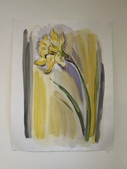 Max Angus Large Original Daffodil Watercolor Painting Signed
