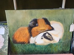 Original Oil Painting „Guinea Pigs in the Grass“ 11×14 Stretch canvas