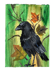 ACEO Original, Crow Painting, watercolor collection Autumn Leaves black bird