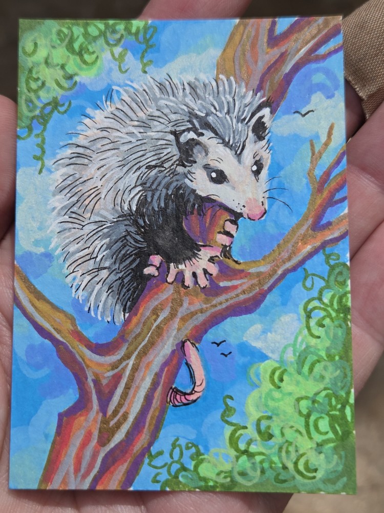 aceo original art Acrylic Painting Possum In A Tree Miniature Animal Art