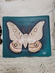 Original Realism Moth Nature Acrylic On Stretched Canvas Signed Unframed