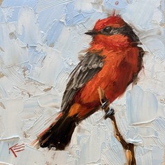 Vermillion Flycatcher Original Oil Painting On Panel 6 X 6 Inches Bird