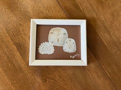 Vtg 1980s Orig Watercolor Painting in Repainted Frame; Sea Shells; Nancy Unfried
