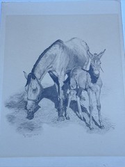 HORSE FAMILY DRAWING HORSES REALISTIC REALISM SHERI GREVES LISTED VINTAGE FAMOUS