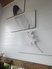 Set of 3 Eagle Feather Printings High Resolution Custom Made One