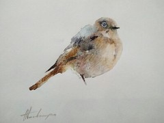 Pigeon, Birds, Watercolor artwork, Handmade, Original painting on paper