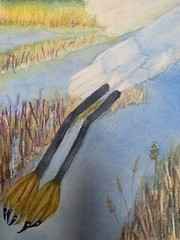 WATERCOLOR ORIGINAL 11×14 White Egret Birds Home Decor Blue Serene Cottage Coast