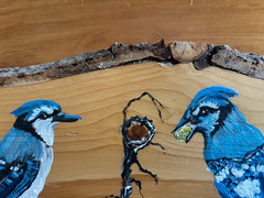 Hand Painted Blue Jays on Raw Edge Wood, Vermont Artist
