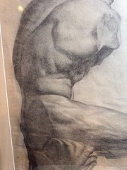 Baltimore School Original Charcoal Anatomical Torso Figure Study Framed Signed