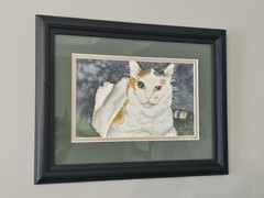 Original Watercolor Cat Painting Portrait Professionally Framed Signed by Artist