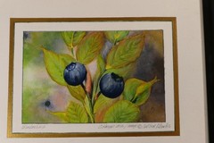 OIL PAINTING ON CANVAS TITLE BLUEBERRIES ARTIST SIGNED C. KNAPP