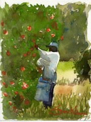 Orange Picker : Sandra Watercolors™ California : ORIGINAL PAINTING