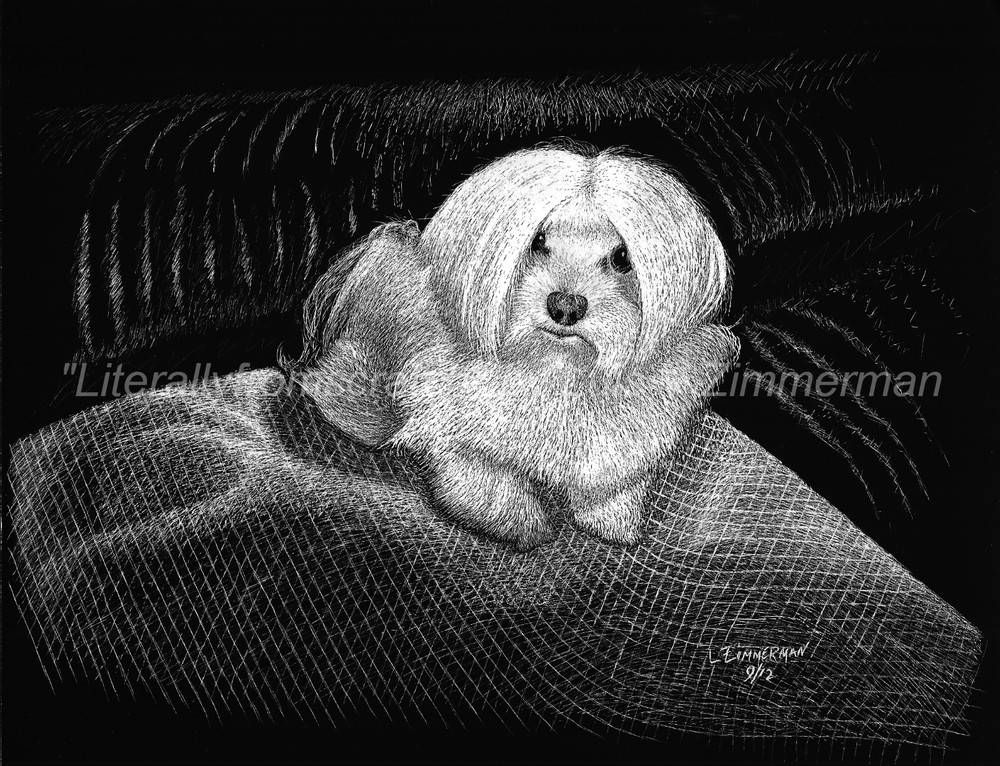 A Six months Old Maltese-Sweet Little Thing! -Reg Board 8.5″x11″ Scratch Signed
