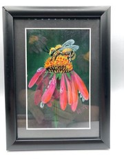 Original Painting Bee on Flower Framed Matted Pinks Yellow Signed Lasch