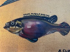 KRIBENSIS PULCHER OIL PAINTING WITH GOLD LEAF AQUARIUM FISH FRAMED