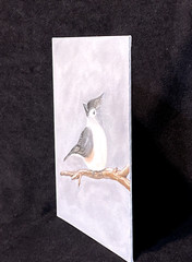 Tufted Titmouse Oil Painting Original 8×10 Canvas Boar Bird Art Signed
