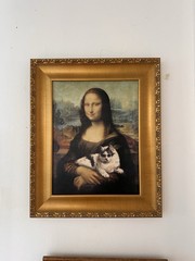 19×24 Mona Lisa by Leonardo Da Vinci with A Cat Canvas With Certificates New