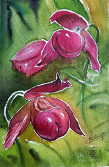 Art Gay Erotic Watercolor „Venuspenis“( flower, humor )11,6-7,9 in.I.Bubentcov