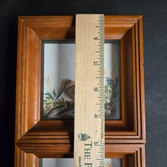 Joseph Quinn Whipple Abercrombie & Fitch 3D SHADOWBOX Pair Birds Woodcock Quail