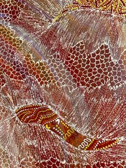 Jedda Purvis Kngwarreye. Authentic Aboriginal Art. Size 150cm x 100cm,Pencil Yam