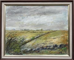Naturalist Wide Field & Meadow Landscape Covered Sky Sweden Scandinavia