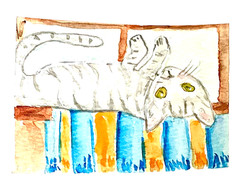 ACEO original cat kitty in a window laying on his blanket OOAK Cherie Donnell